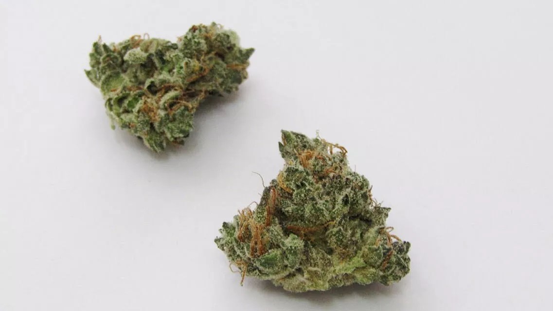 Why Colorado Tokers Love Ecto-Cooler