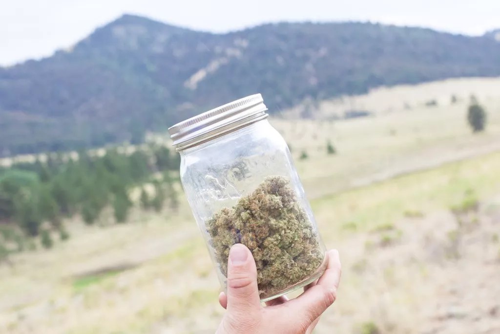 Where Will Colorado’s Pot Industry Be in 2022?