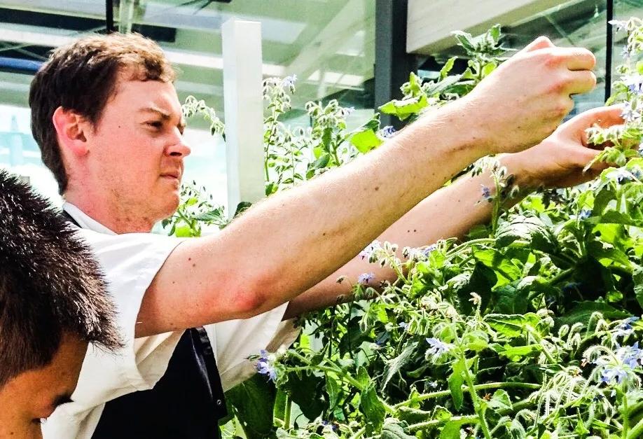 Eight-Course Cannabis Dinner to Benefit Parkinson’s Research