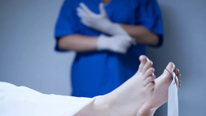 Human Body Parts Price List and Other Reasons for New Colorado Law