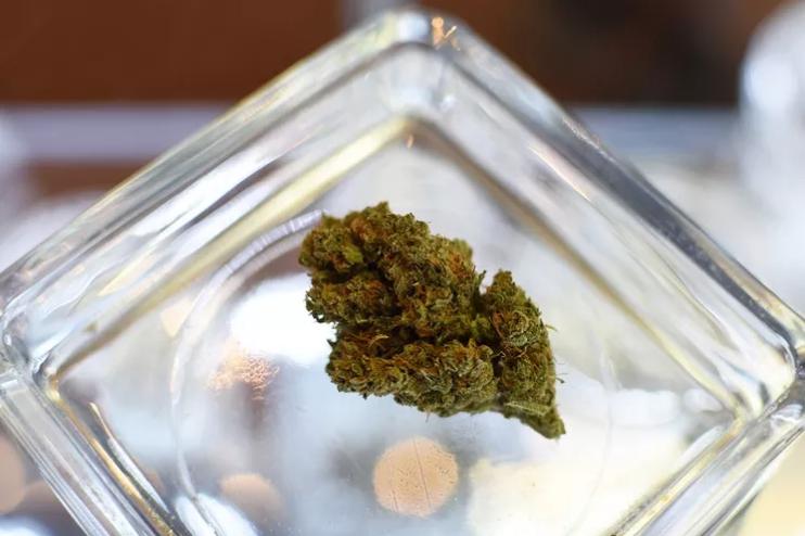 girl scout cookies weed
