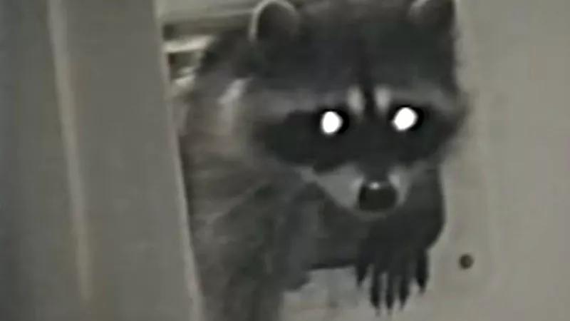 Denver Urban Wildlife Guide With Dr. Kevin Fitzgerald: How to Stay Safe