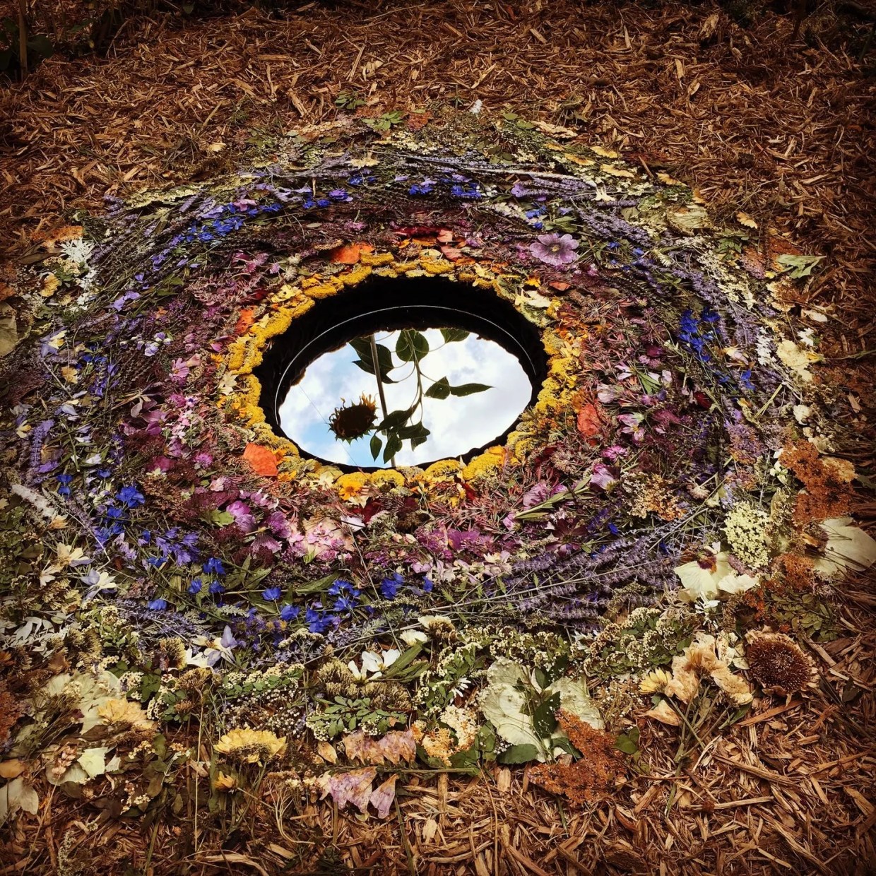 Colorado Creatives: Eileen Roscina Richardson