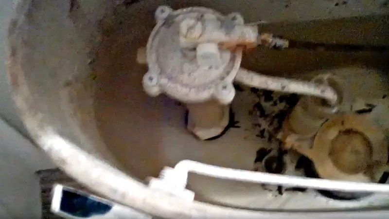 Metro Denver Woman Paid $2K in Rent, Got Black Mold, Asbestos, Roaches