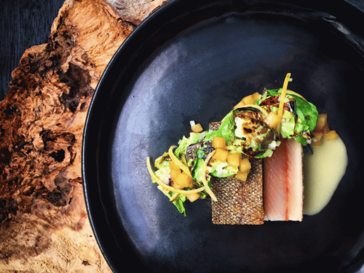 First Bite Offers Great Boulder County Restaurant Deals in November