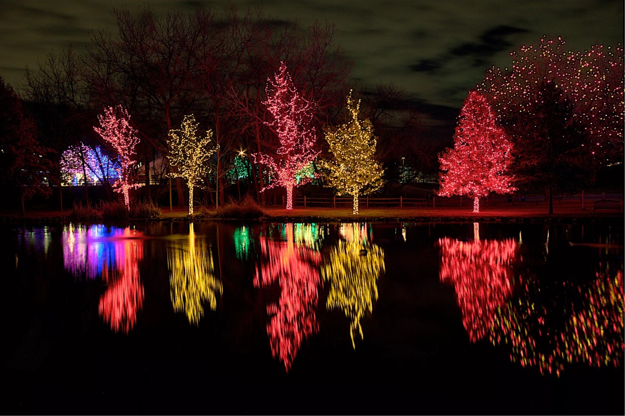 Season’s Greetings: Five Illuminating Events in Early 2019