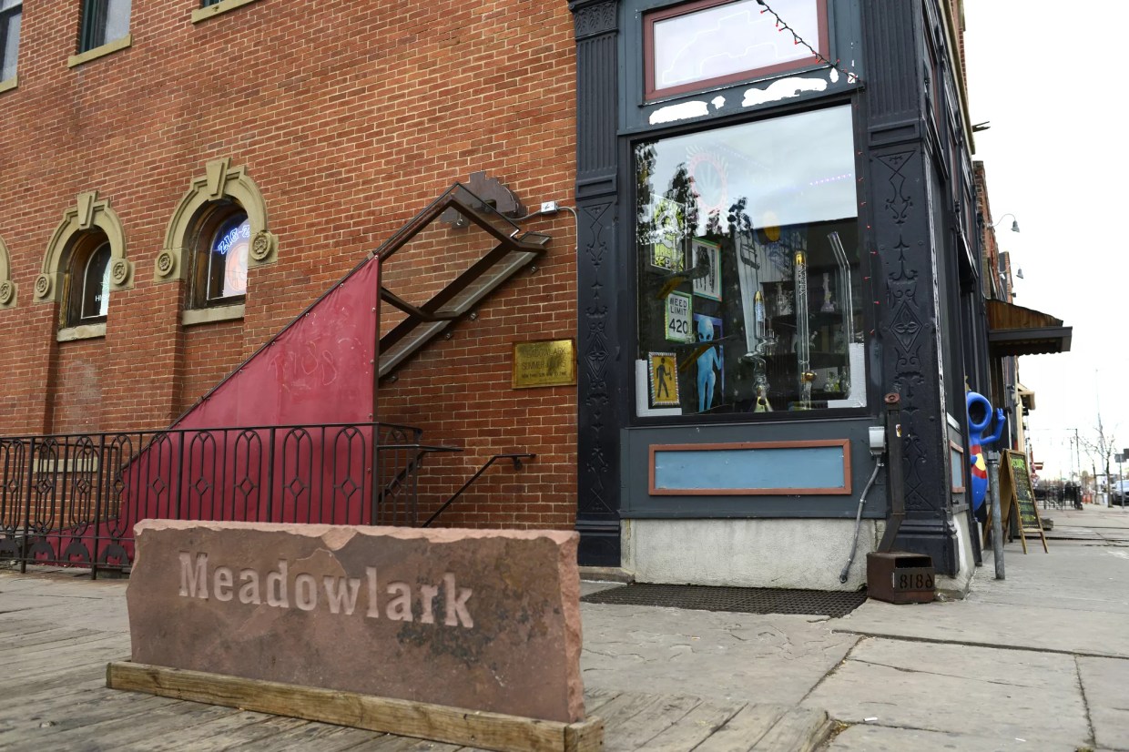 Songwriters Take the Meadowlark to Court for Copyright Infringement