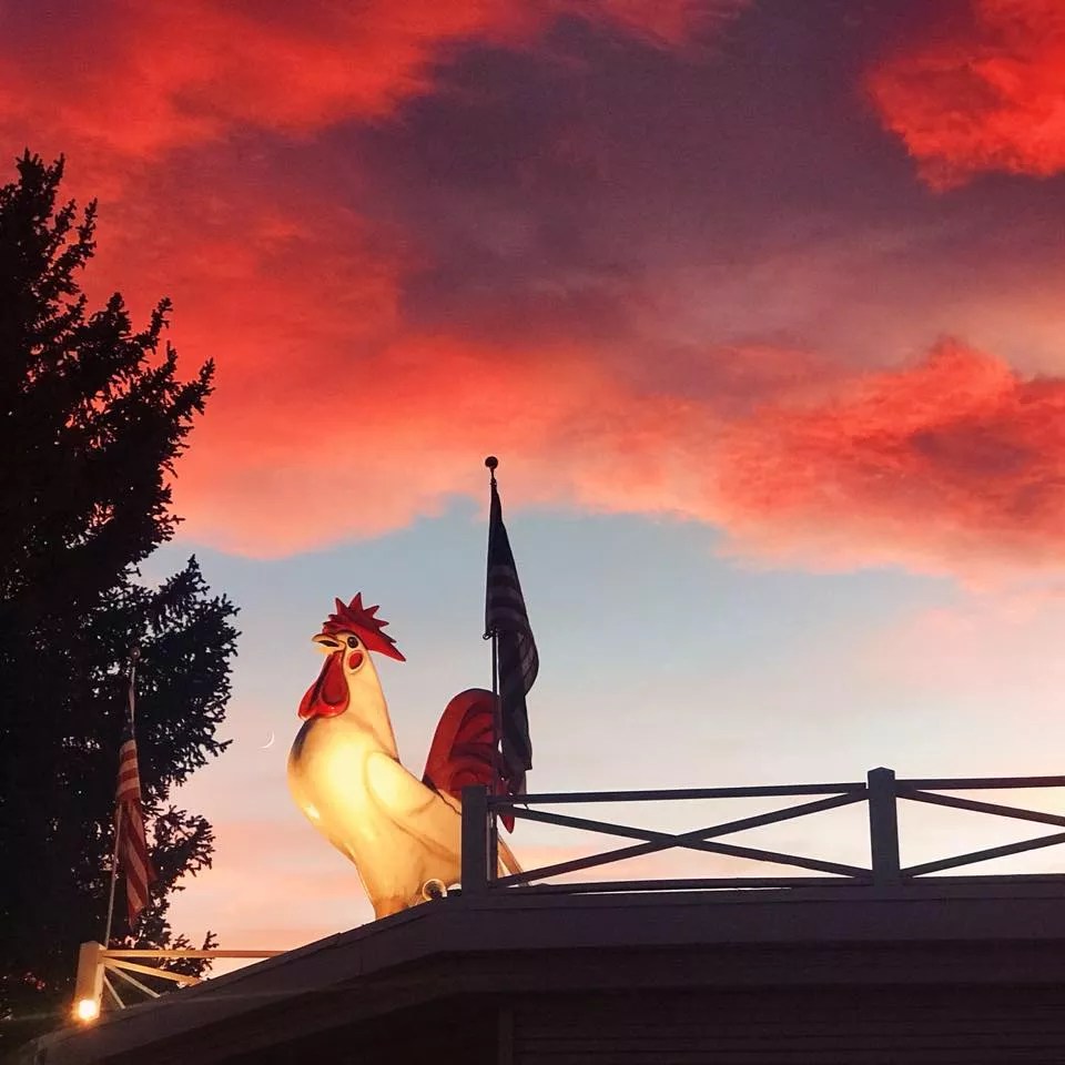 Reader: Sad to See Longtime Places Like White Fence Farm Closing