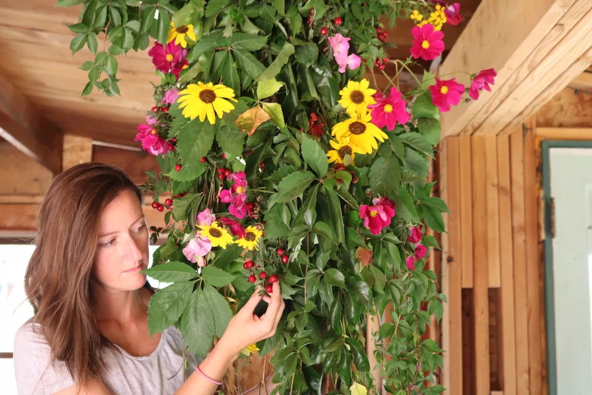 Colorado Creatives Redux: Jaime Kopke