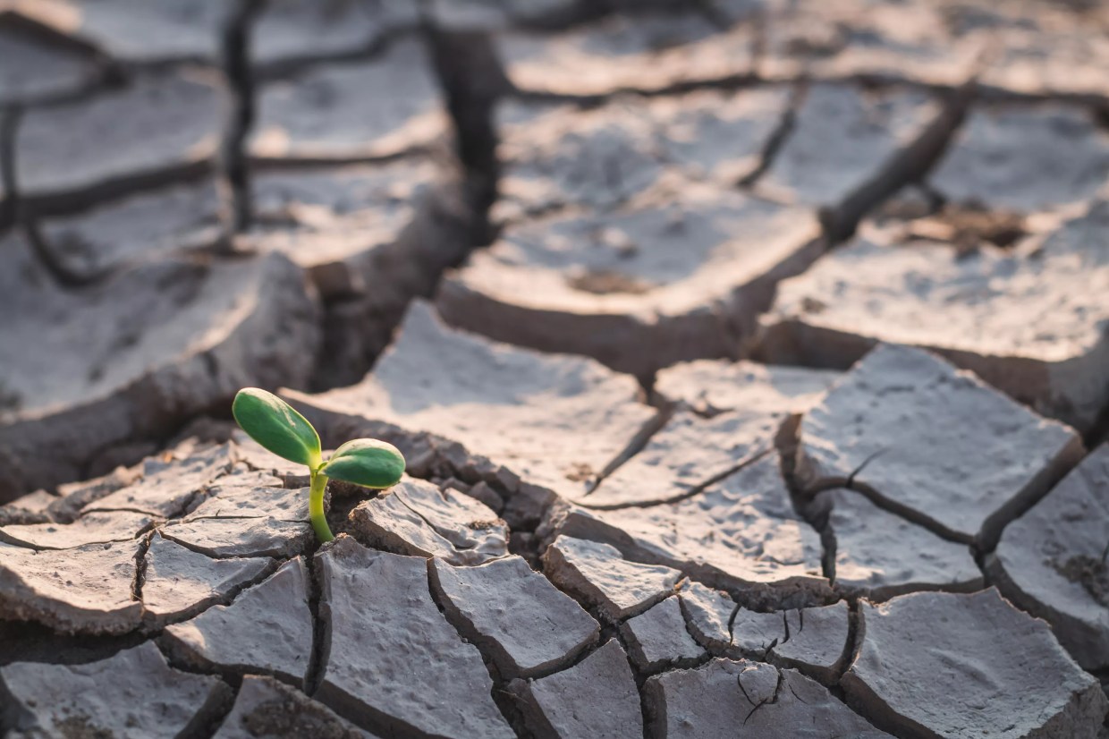 Op-Ed: Nonprofits Should Work Together to Fight Climate Change