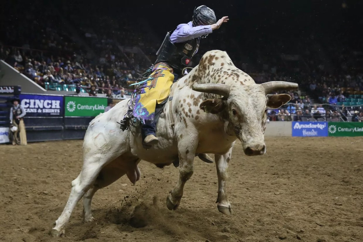 The 21 Best Events in Denver, January 8 Through January 14