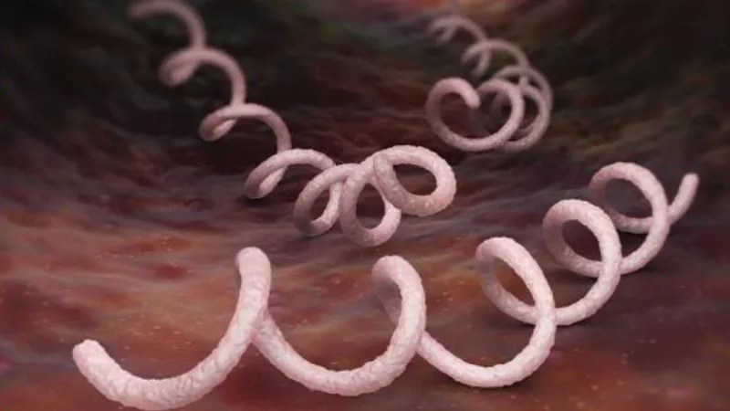 Colorado Sees a Shocking Rise in Sexually Transmitted Infections