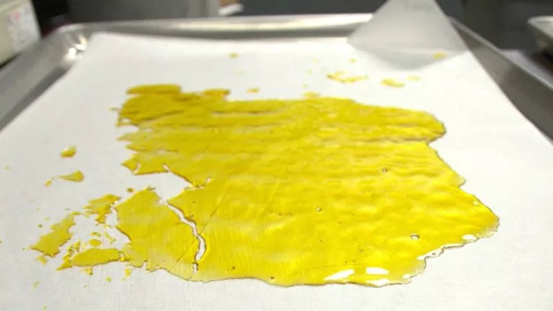 The Case Against THC Potency Limits on Shatter and Other Marijuana Products