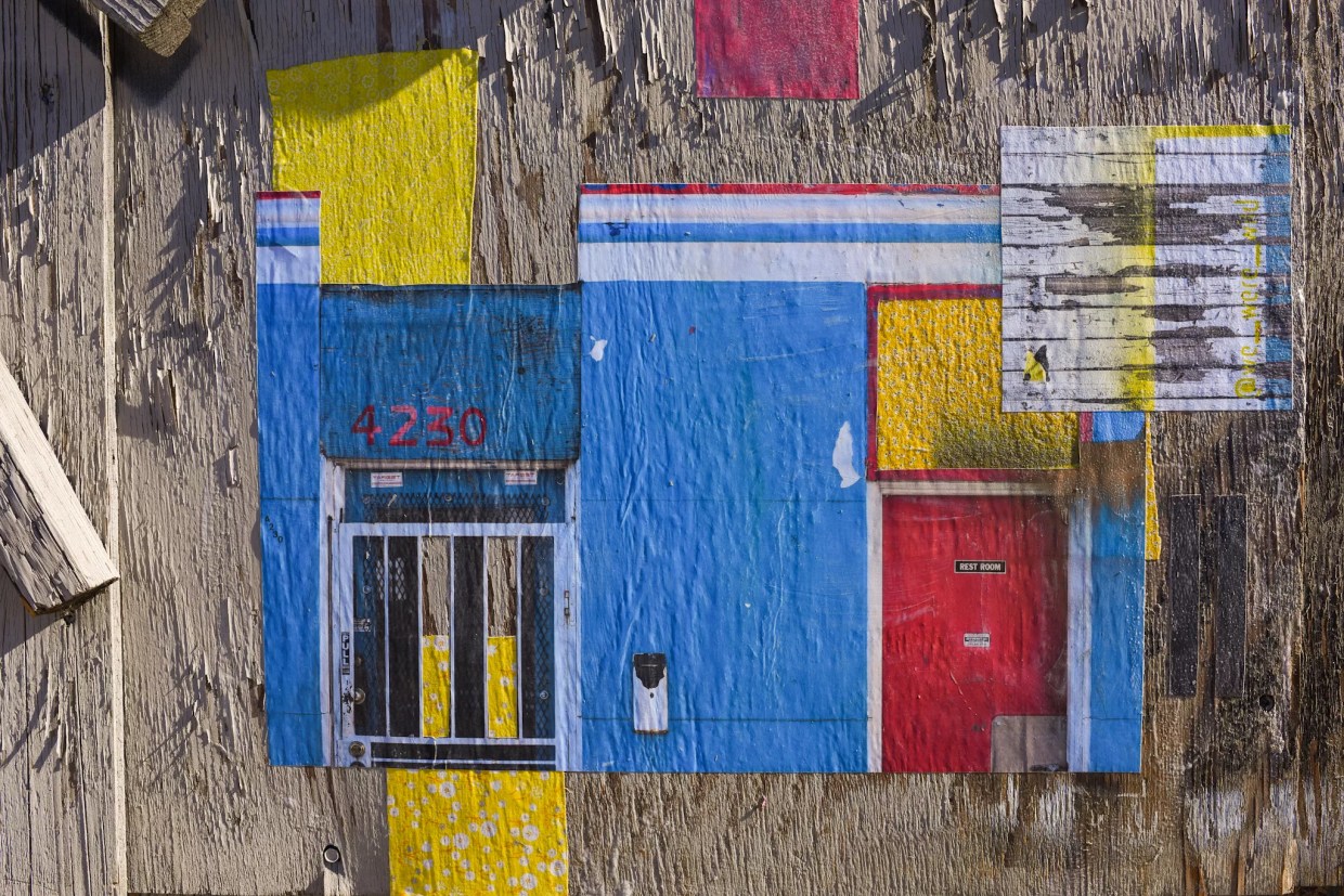 Colorado Creatives: We Were Wild (Meredith Feniak and Risa Friedman)