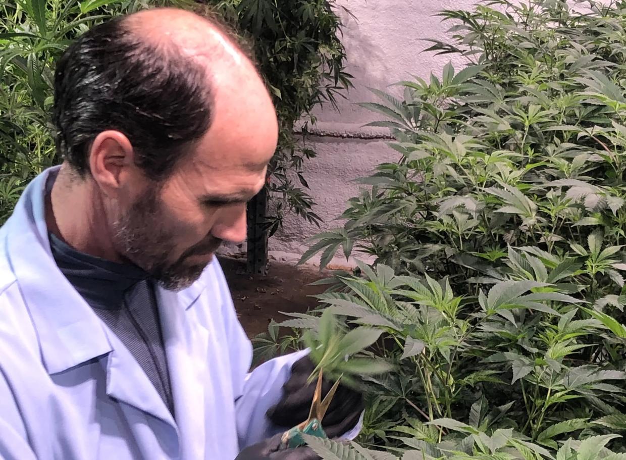 Bomb Cyclone Ruins Dispensary’s Opening Day, but Not the Plants