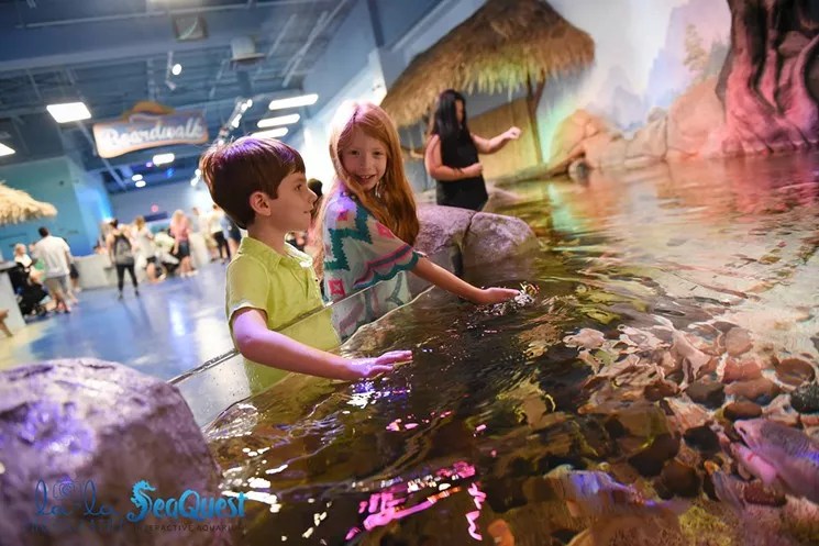 Colorado Parks and Wildlife Suspends SeaQuest License After Violations