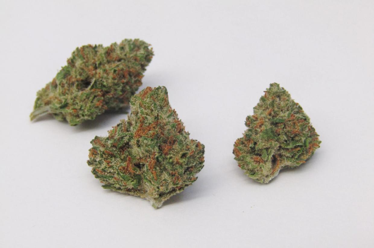 Our Favorite Marijuana Strains in 2019…So Far