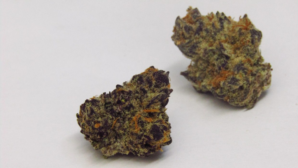 Why Colorado Tokers Love Purple Punch