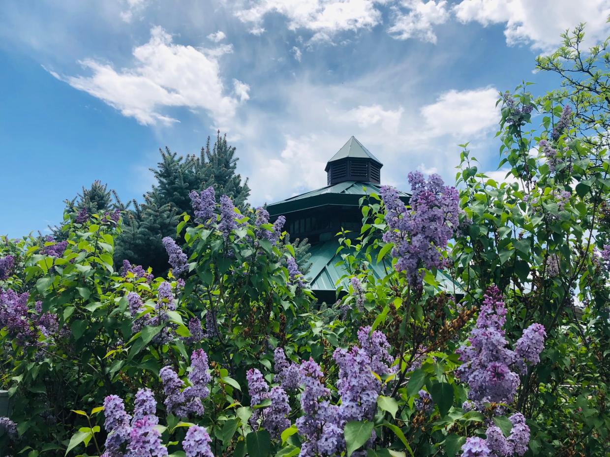 Butterfly Pavilion Will Create World’s First Pollinator District