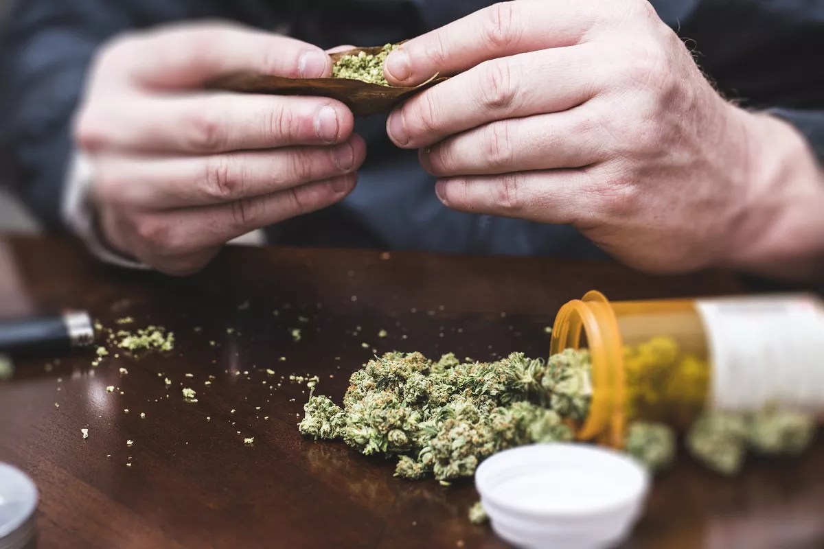 Dr. Rebecca Siegel Tackles Marijuana Myths in Her New Book