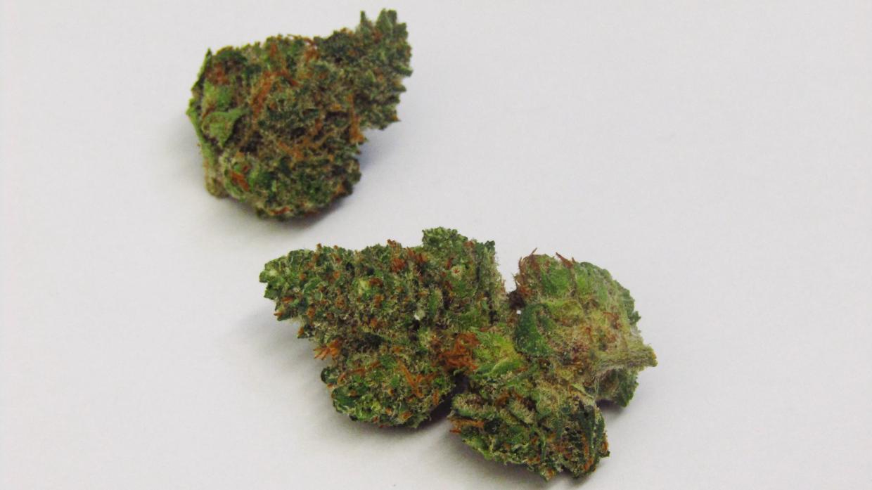 Why Colorado Tokers Love Doctor Bubba