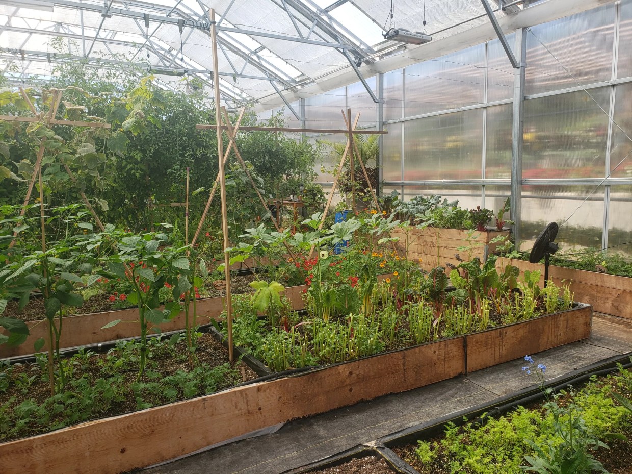 Broadmoor Farms Blooms at One of Colorado’s Top Resort Hotels