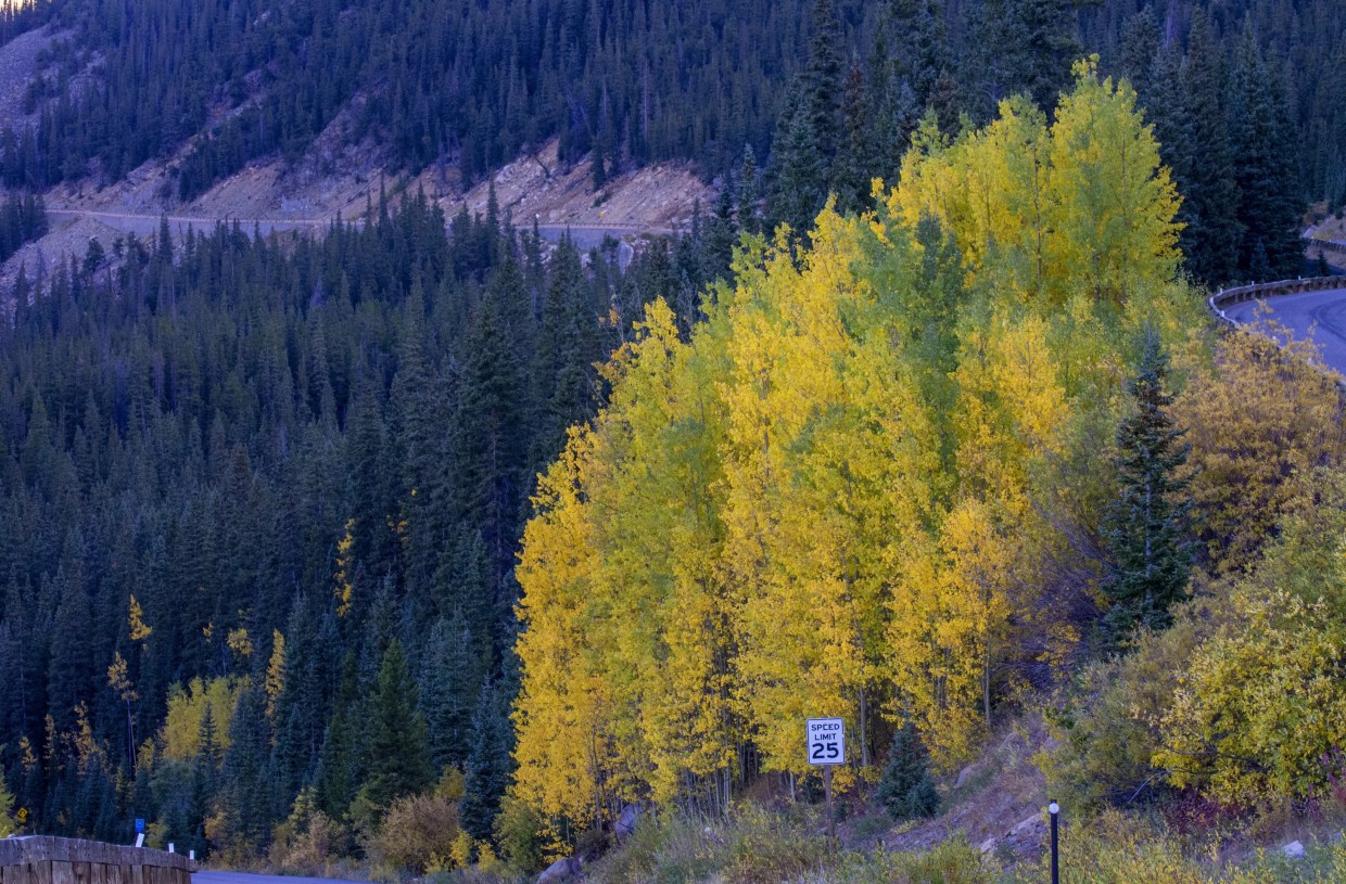 Ten Places to Go Leaf-Peeping This Weekend