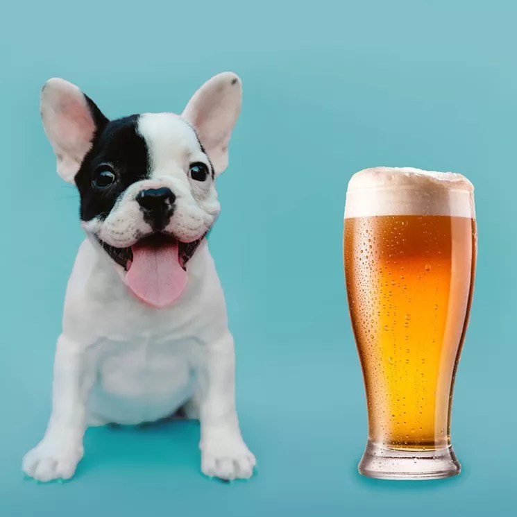 Five Things to Do for Free in Denver This Weekend