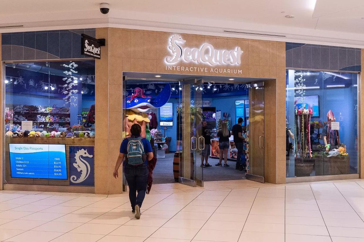PETA Hopes FTC Will Make a Splash by Investigating SeaQuest’s Business Model
