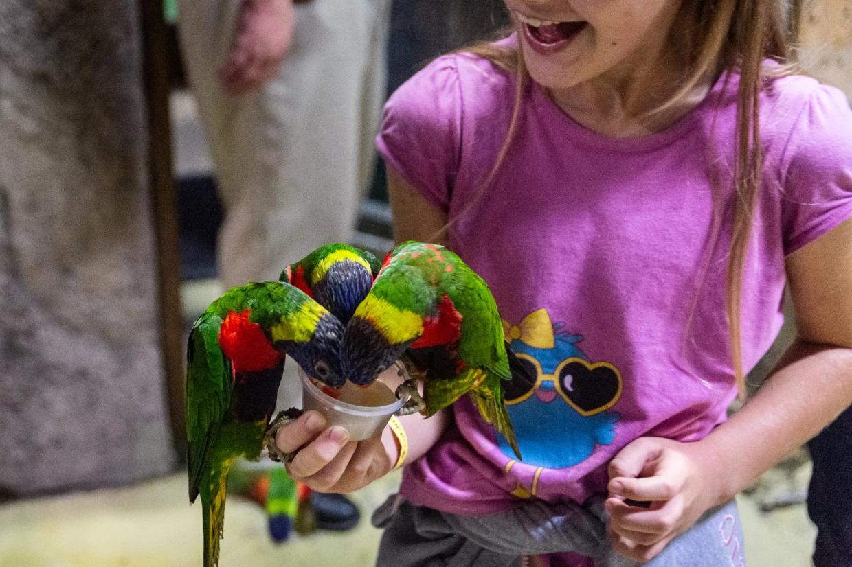 The Ten Biggest Colorado Animal Stories of 2019