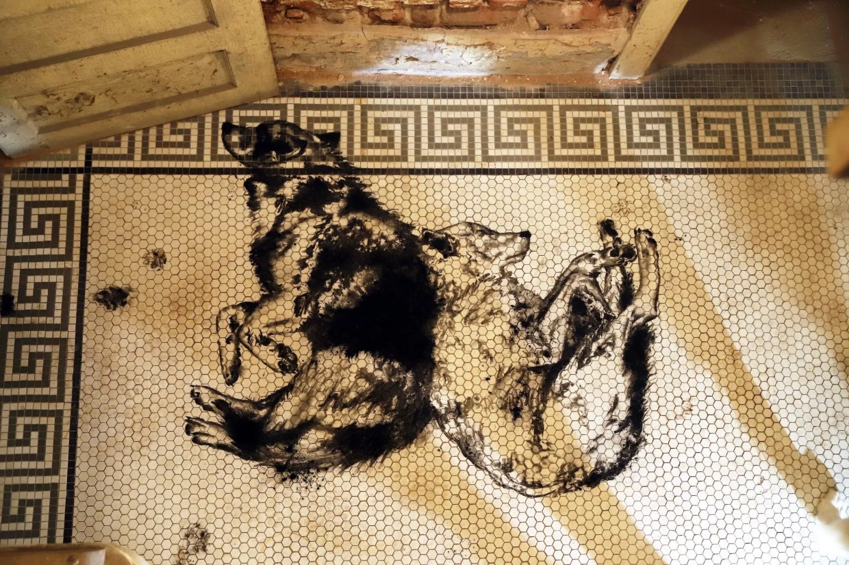 We Were Wild Reimagines “The Hut” in a New Installation at Alto Gallery