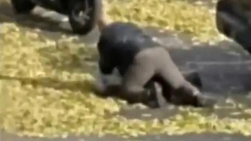 Kim Chancellor Suit at Least Fort Collins Cops’ Fifth Excessive-Force Complaint