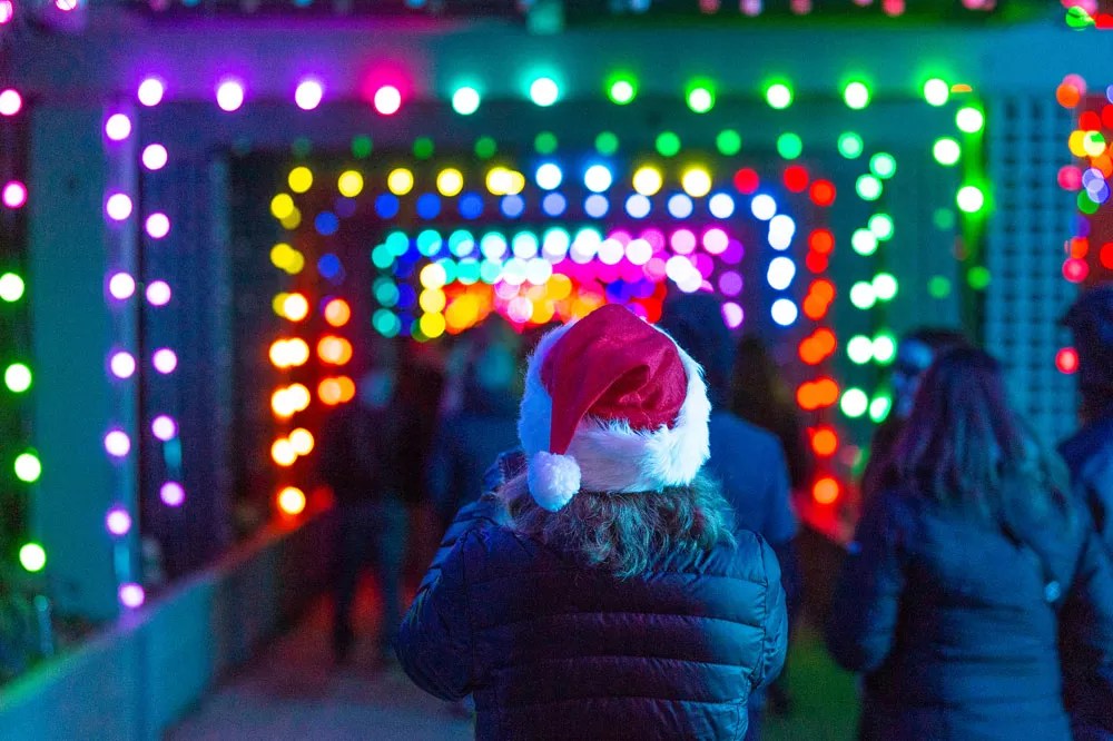 The 21 Best Events in Denver, November 25 to December 1