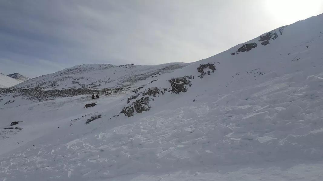 Colorado Avalanche Information Center Warns of Dangerous Conditions Through New Year’s Day