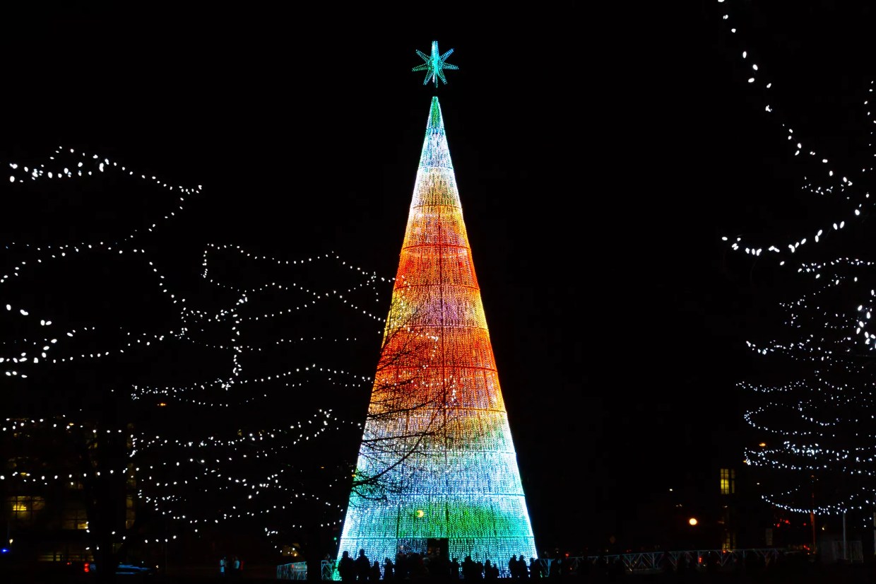Mile High Tree’s New Light-Show Playlist Includes a Bounty of Local Musicians