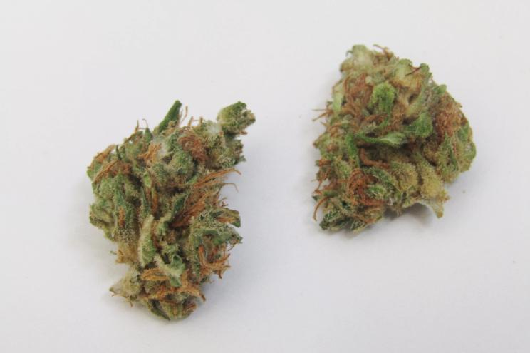 Desert Ruby CBD weed strain
