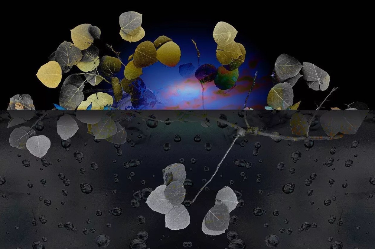 Art Attack: Fourteen Things for Gallery Lovers to Do in Denver This Week