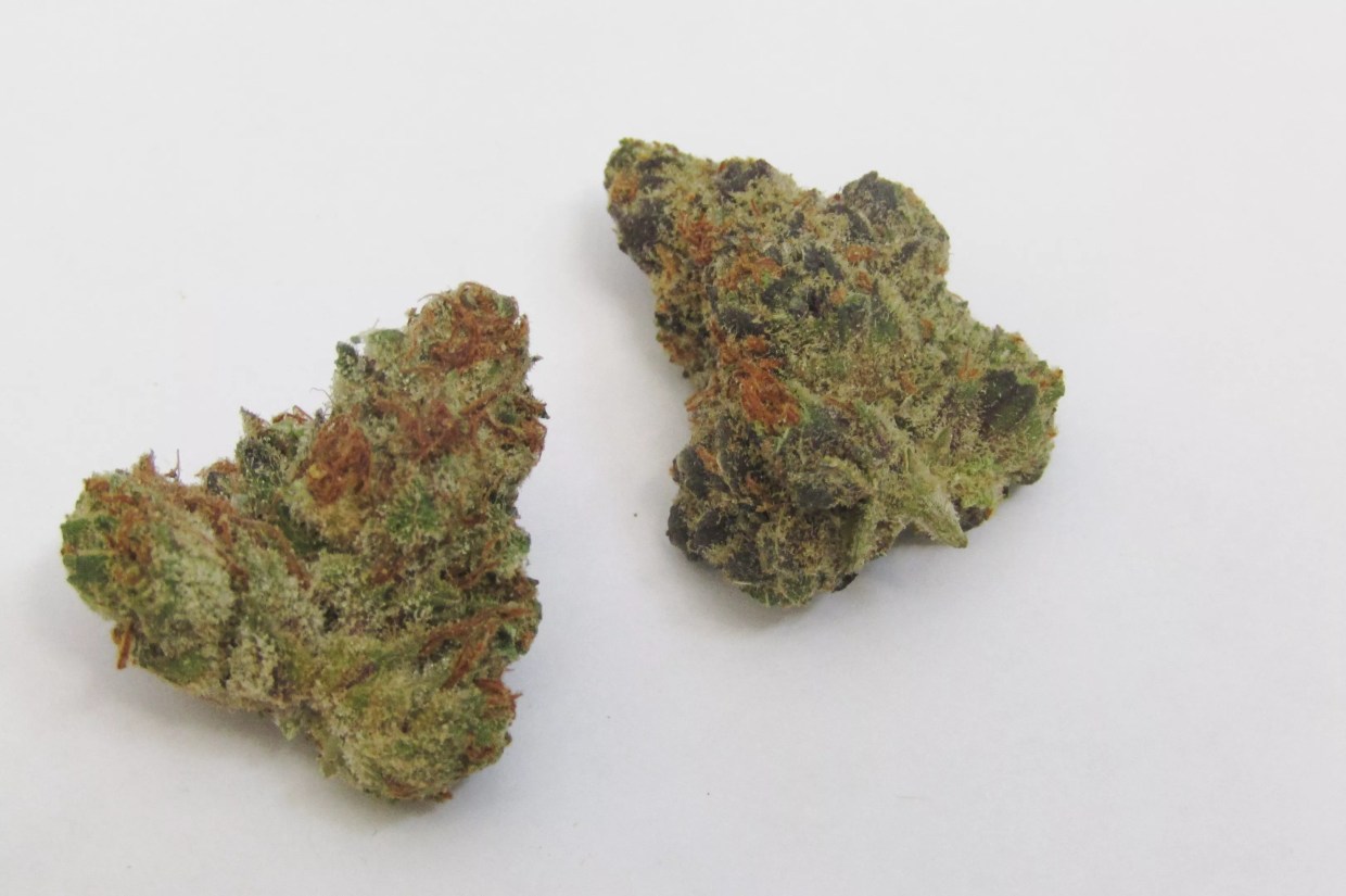 Why Colorado Tokers Love Bazookies