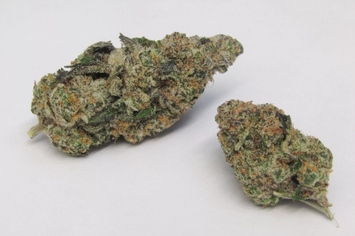 Why Colorado Tokers Love Cookie Monster