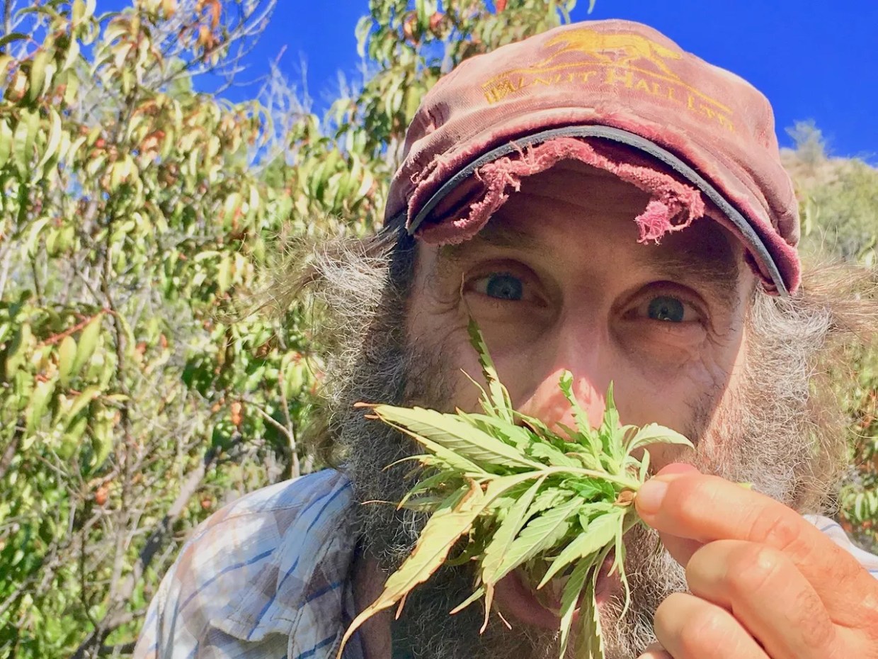 Doug Fine Loved Writing About Hemp so Much, He Farms it
