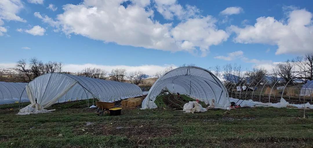 Without Restaurants or Markets, Farms Need Customers, Too
