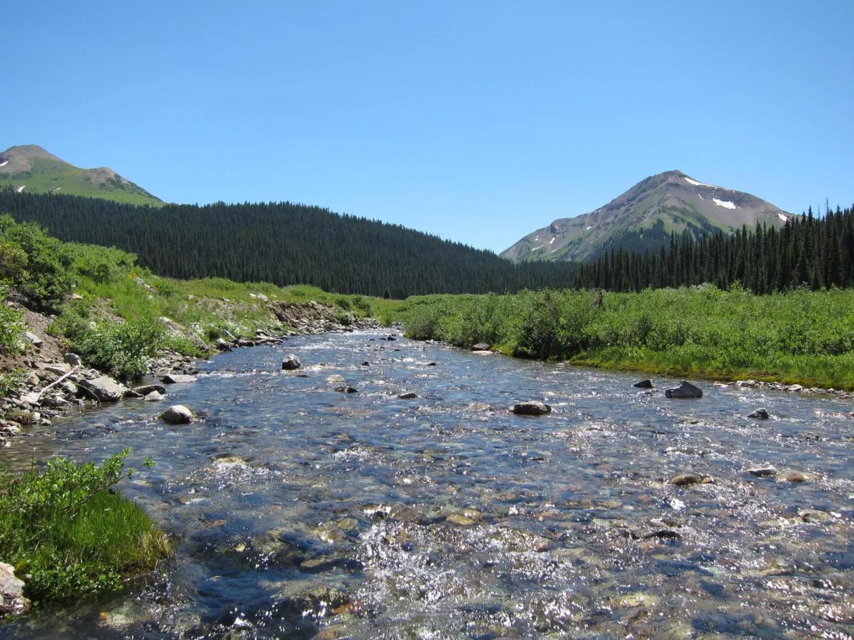 Colorado Activists Cry Foul Over Trump’s Clean Water Act Rollback