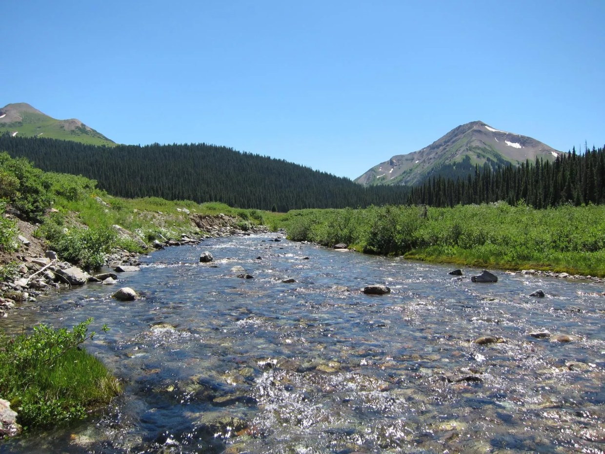 Colorado Activists Cry Foul Over Trump’s Clean Water Act Rollback