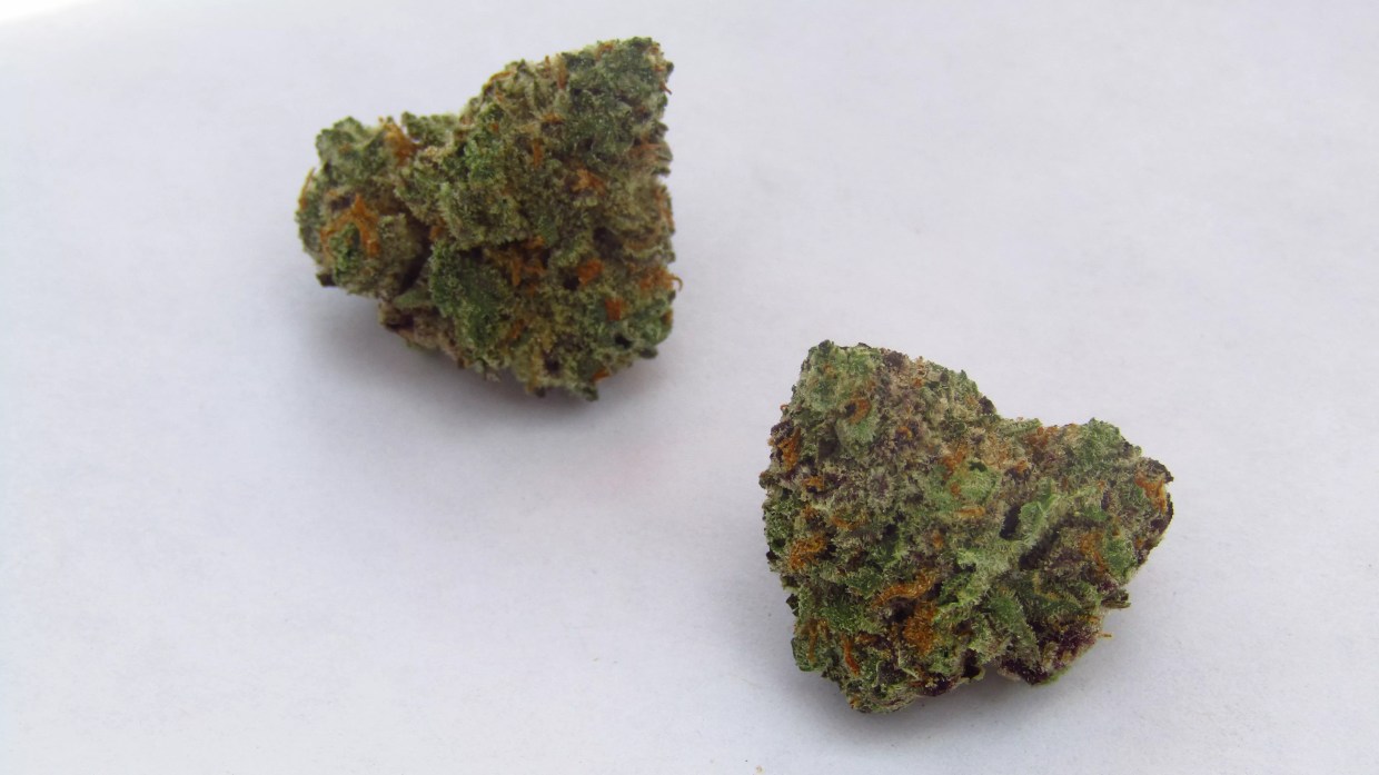 Why Colorado Tokers Love Citrus Farmer