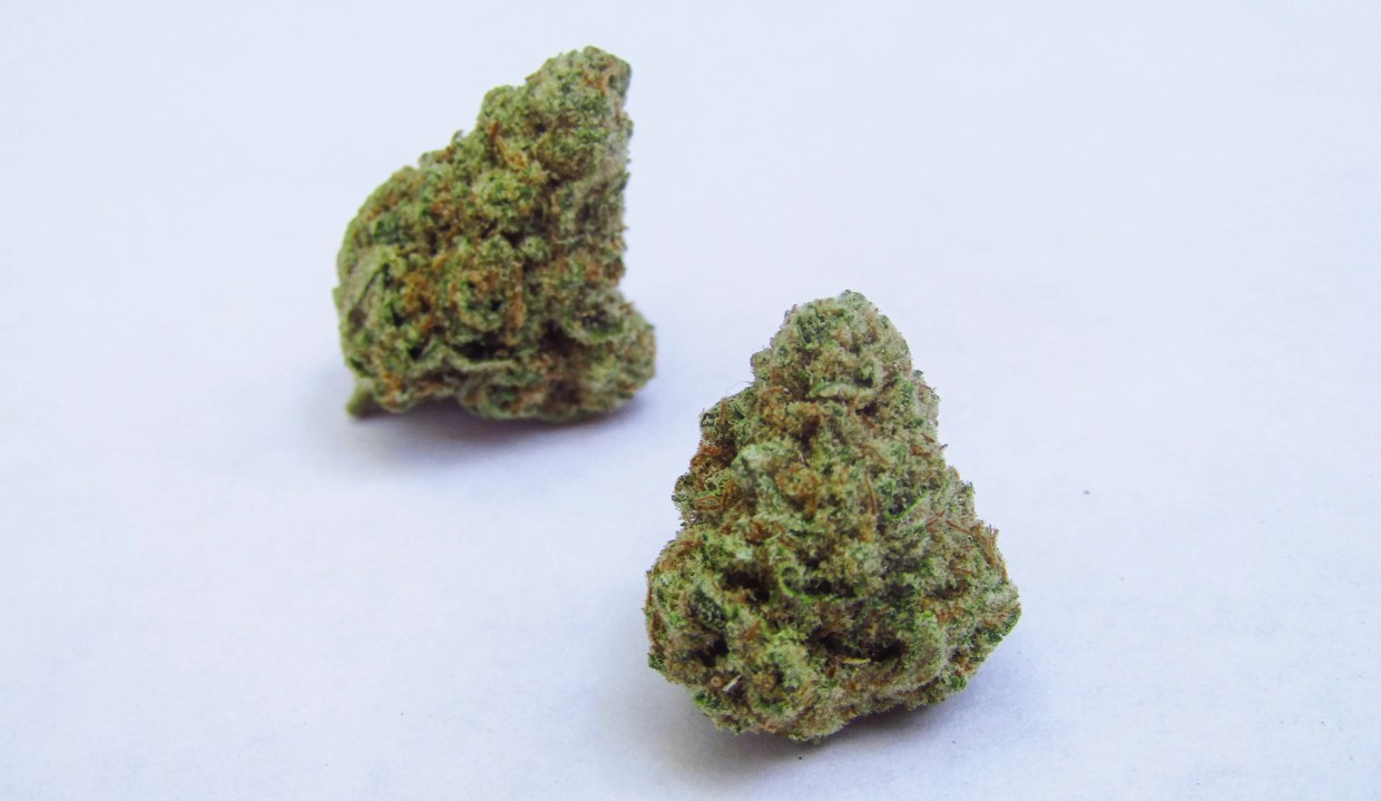 Ten Best Strains Through the First Half of 2020