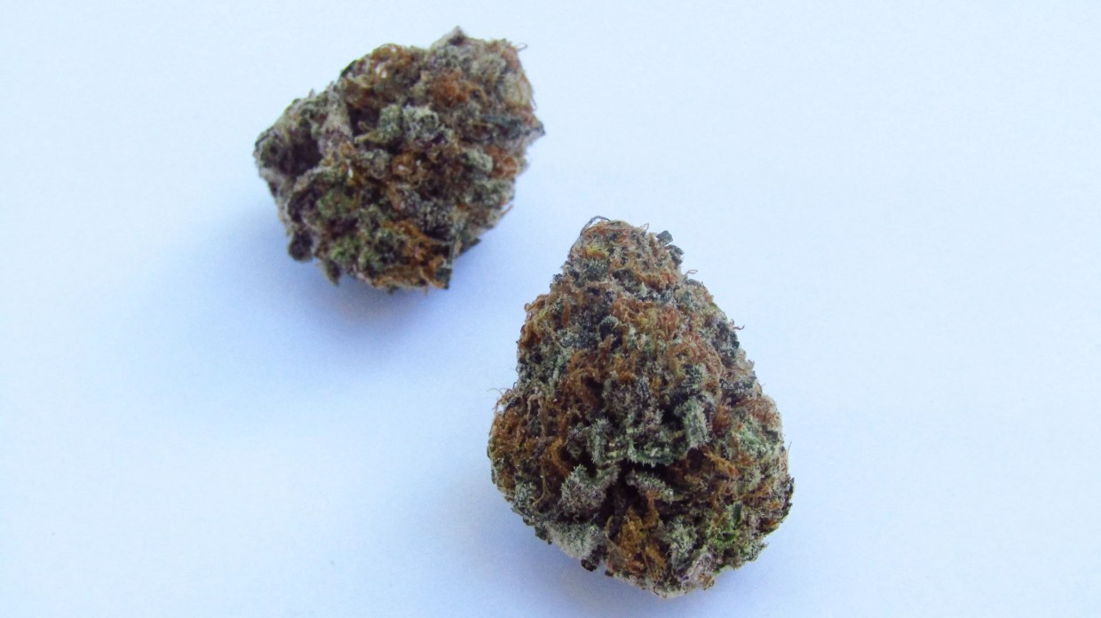 Why Colorado Tokers Love Apples n’ Cream