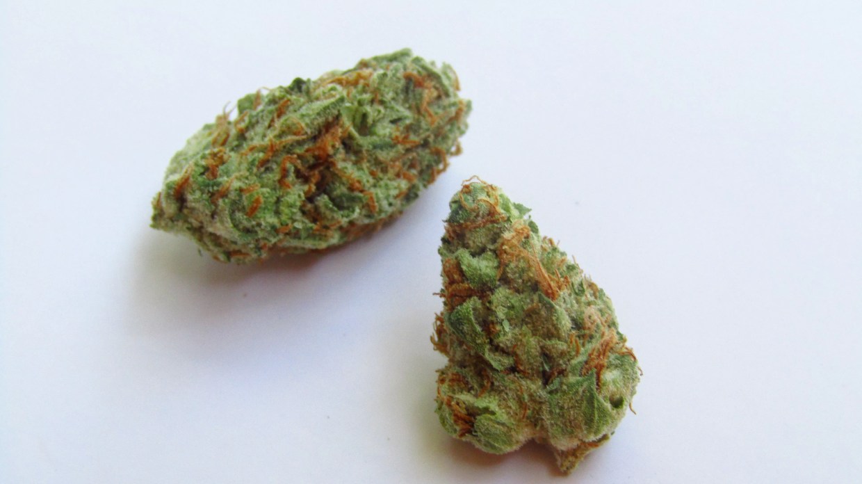 Why Colorado Tokers Love Garlic Juice