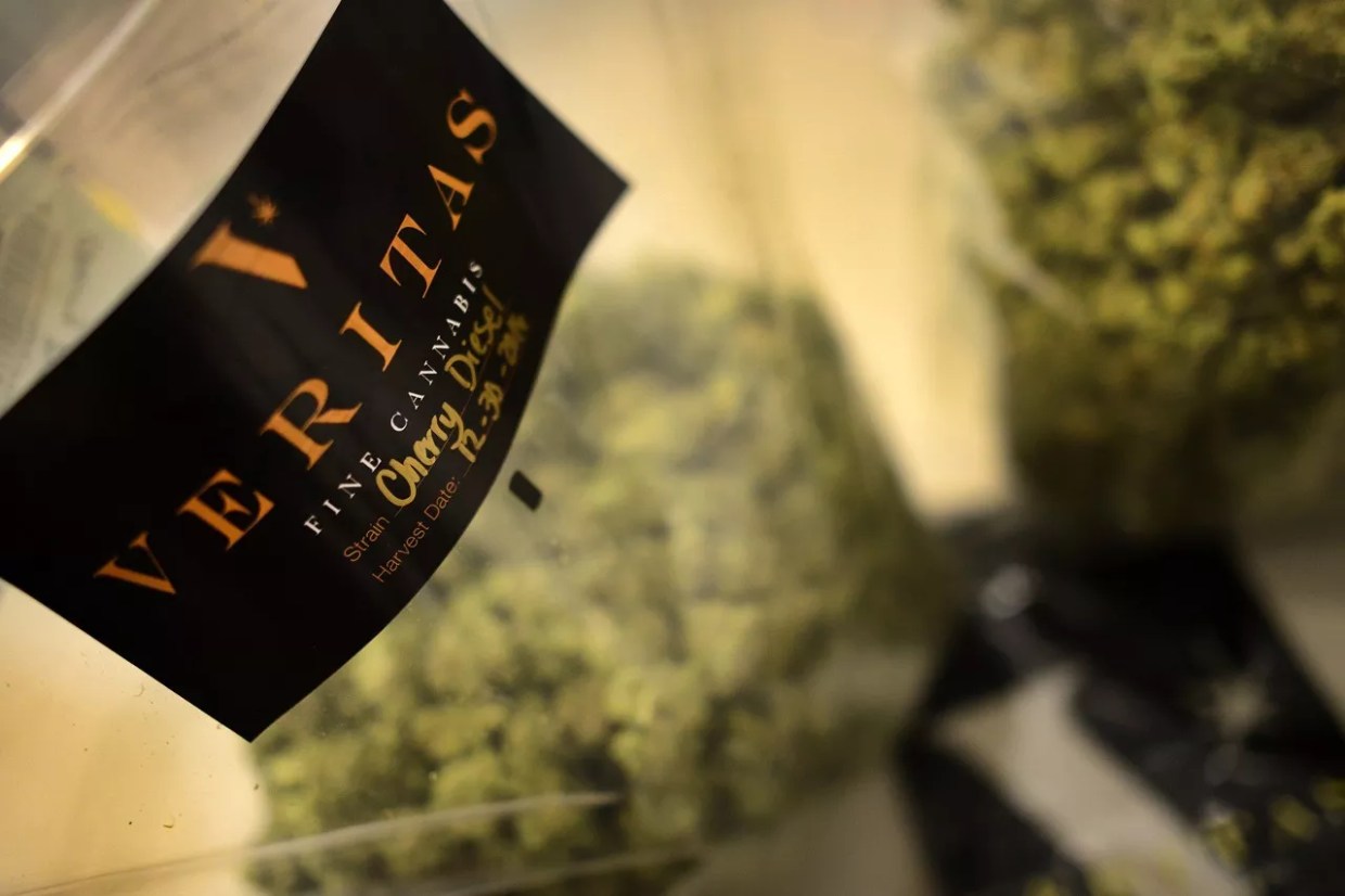 Commercial Marijuana Growers Learning How to Brand Themselves