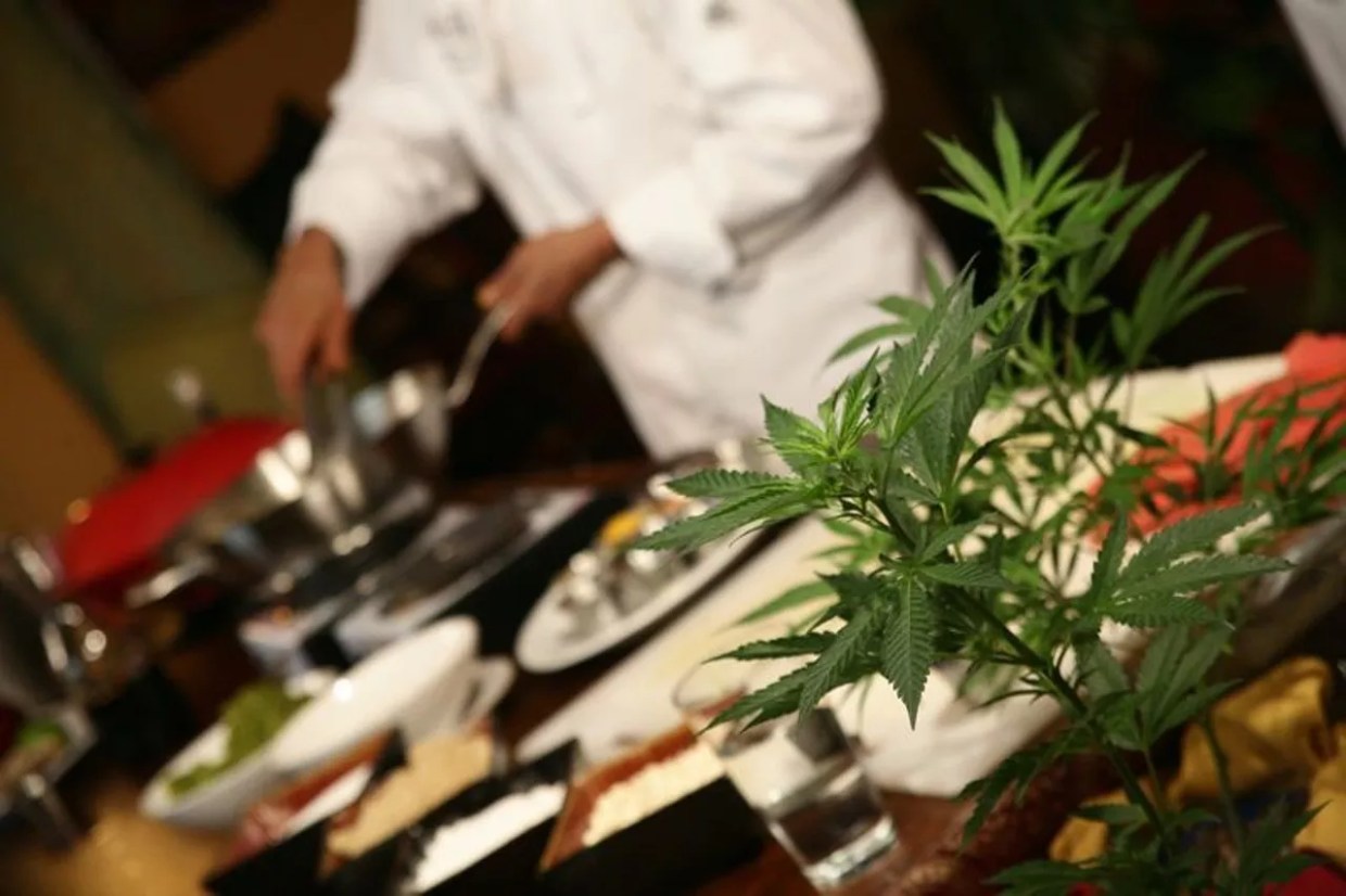 Metro State Adds New Cannabis Hospitality and Cooking Course