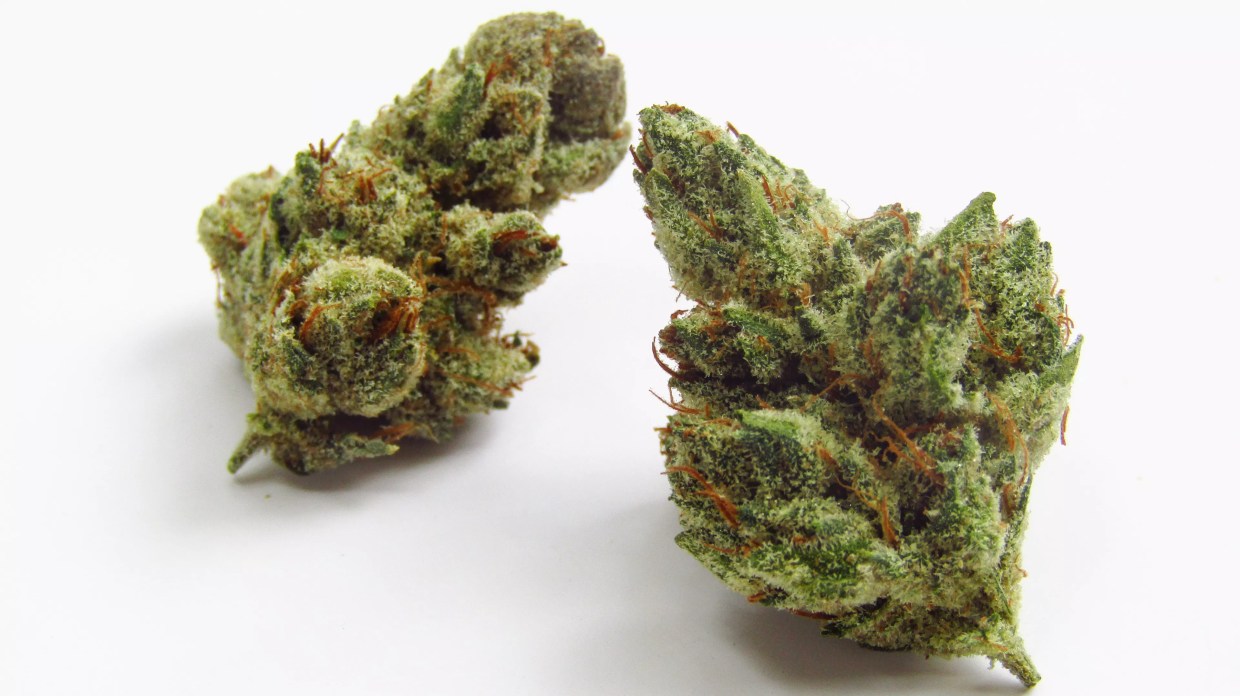 Why Colorado Tokers Love Trix